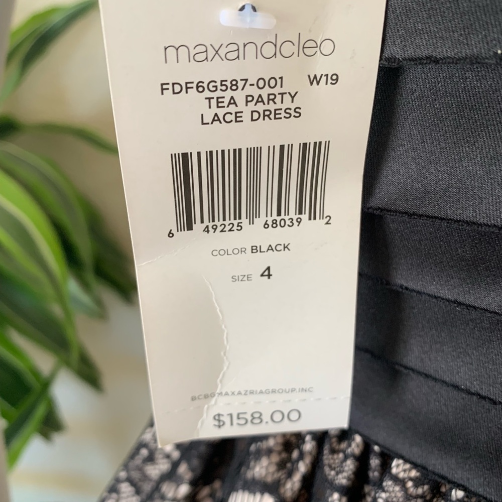 Max And Cleo Tea Lace Dress - Picture 6 of 8